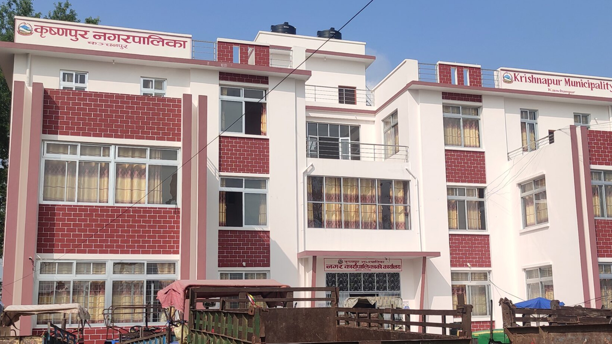 कृष्णपुरका पाँच स्थानमा छाडा चौपाया व्यवस्थापन